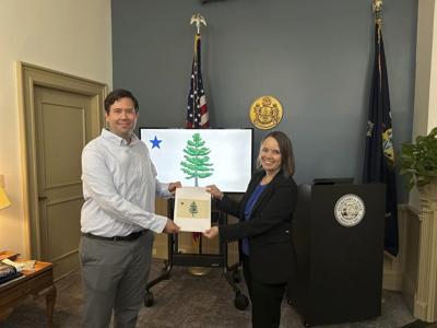 Flag contest: Mainers to vote on adopting a pine tree design paying homage to state's 1st flag