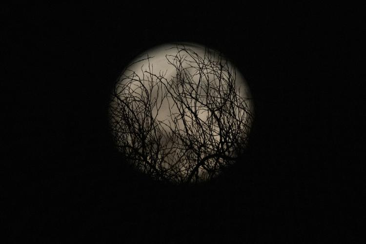 SCI-Supermoon-Gallery_07