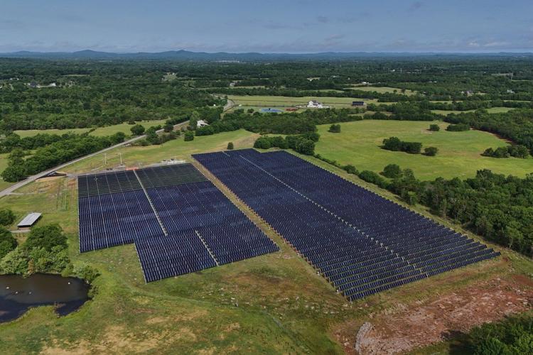 Solar ranch in Tennessee aims to prove grazing cattle under the panels is a farmland win-win