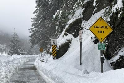 Avalanche safety urged by WorkSafeBC after four skiers killed