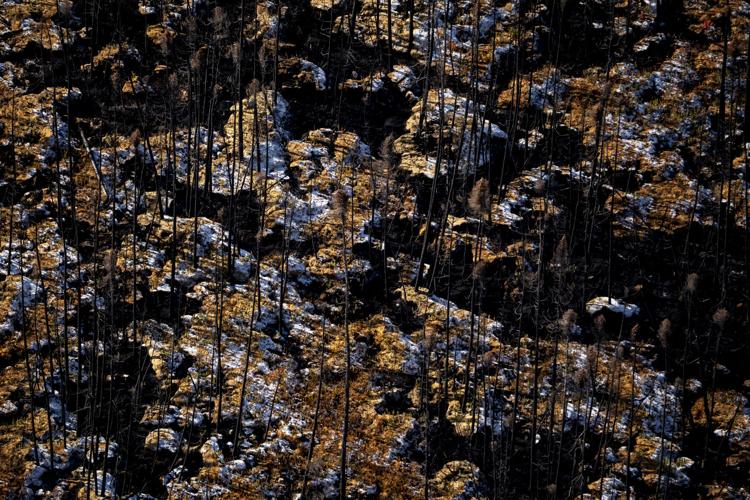 Photo-Gallery-Ont-Ring-of-Fire-Diesel 01