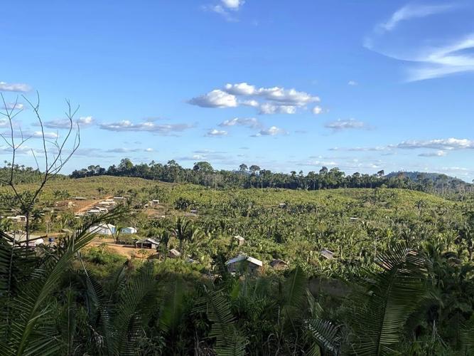 Brazil's government starts expelling non-Indigenous people from two native territories in the Amazon
