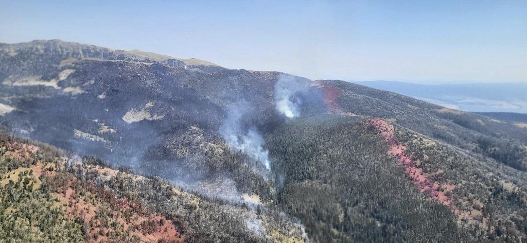 Firefighter dies after cardiac emergency while battling Montana wildfire