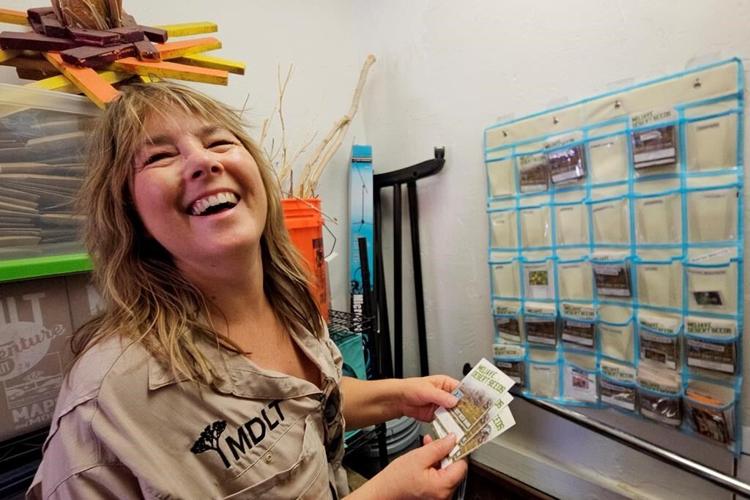 California's big bloom aids seed collectors as climate change and wildfires threaten desert species