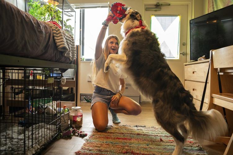 At some colleges, move-in day includes students' dogs and cats