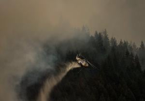 At least four homes destroyed by wildfire near Boston Bar, B.C.: official