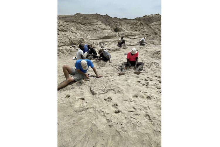 Muddy footprints suggest 2 species of early humans were neighbors in Kenya 1.5 million years ago