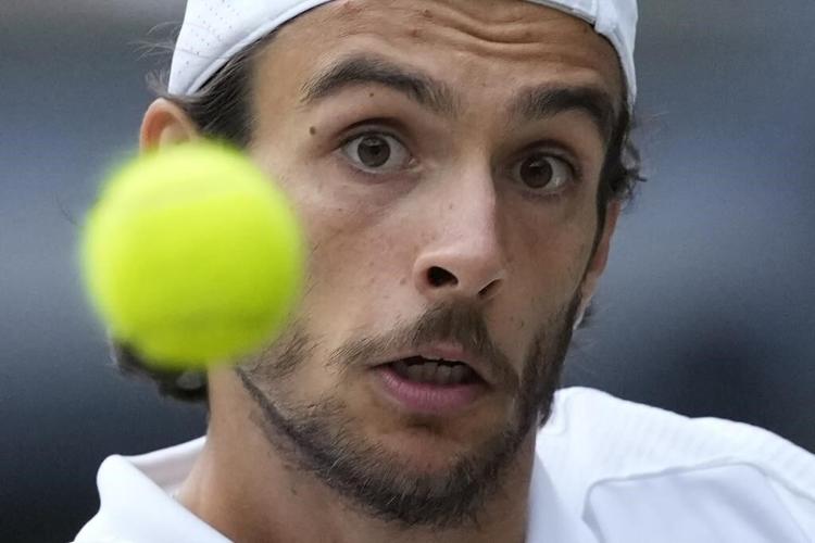 Carlos Alcaraz and Novak Djokovic will meet in the Wimbledon men's final again