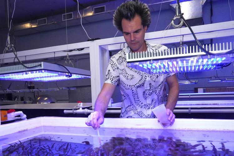 Underwater sculpture park brings coral reef art to Miami Beach