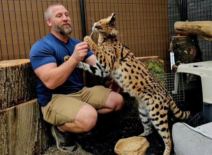 Owner of Gary, the African serval, says animal will suffer under B.C. exotic cat ban