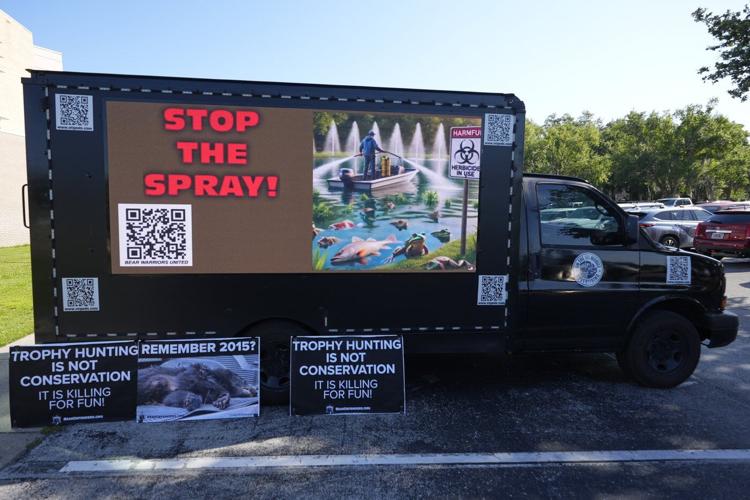 Florida gives preliminary approval to controversial black bear hunt amid strong opposition