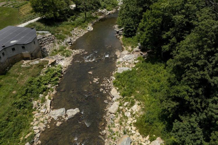 Feds propose protection for giant salamanders devastated by Hurricane Helene