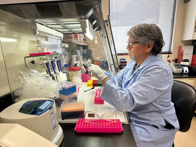 Inside the cruise ship at the center of the hantavirus outbreak