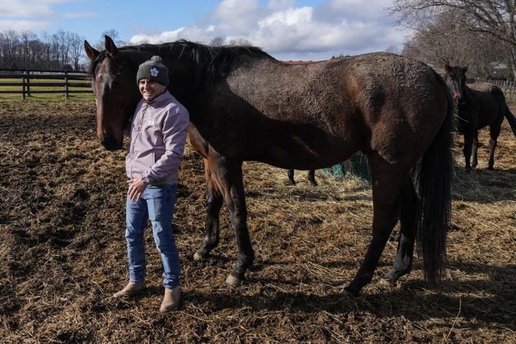 Photo Gallery: Da Silva implementing horses into wellness program