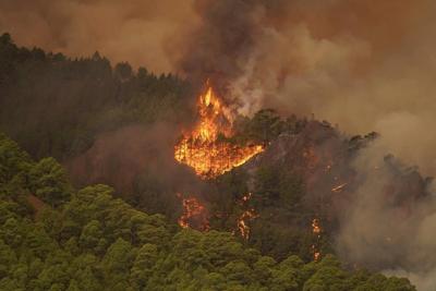 Out-of-control wildfire scorches Spain's Tenerife island, affecting thousands
