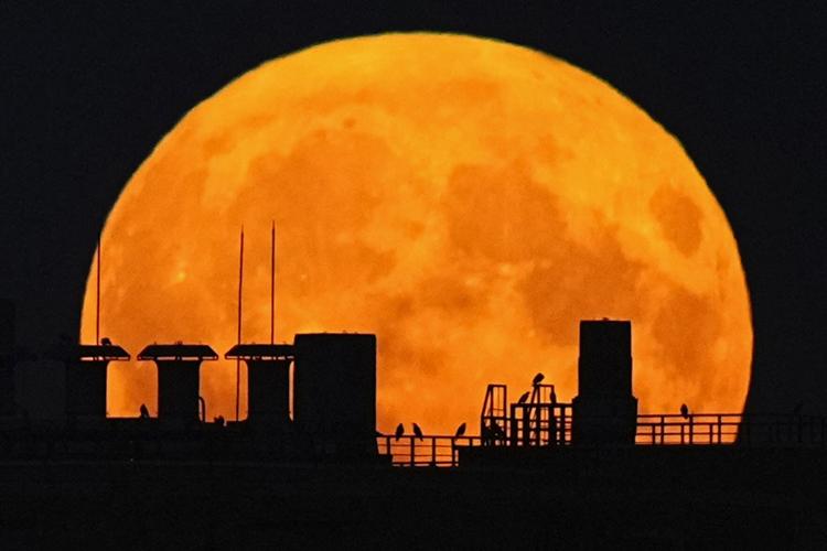 SCI-Supermoon-Gallery_15