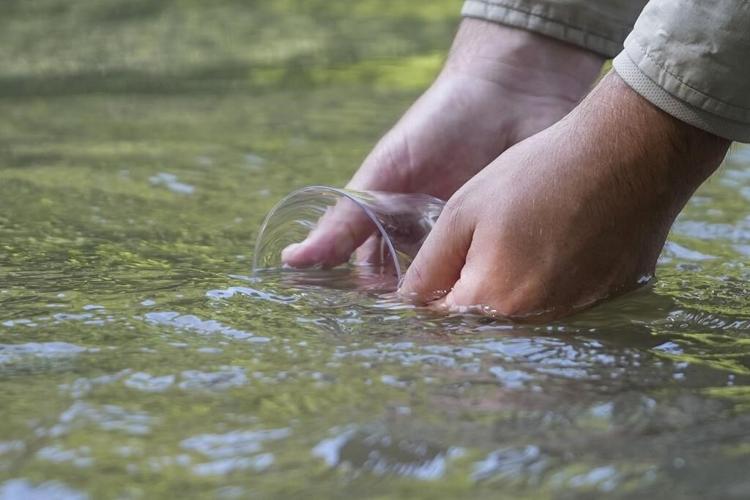 In Mississippi, a tiny fish is reintroduced to the river where it disappeared 50 years ago
