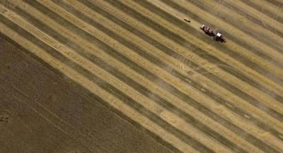 Fertilizer greenhouse gas cuts may take longer than Ottawa wants, farm groups say