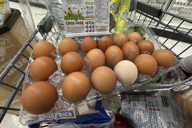 Trump administration sues California over egg prices and blames animal welfare laws
