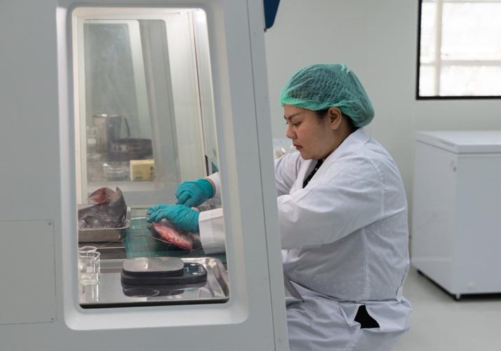 Photos show how toxic runoff from rare earth mines are risking Southeast Asia's rivers