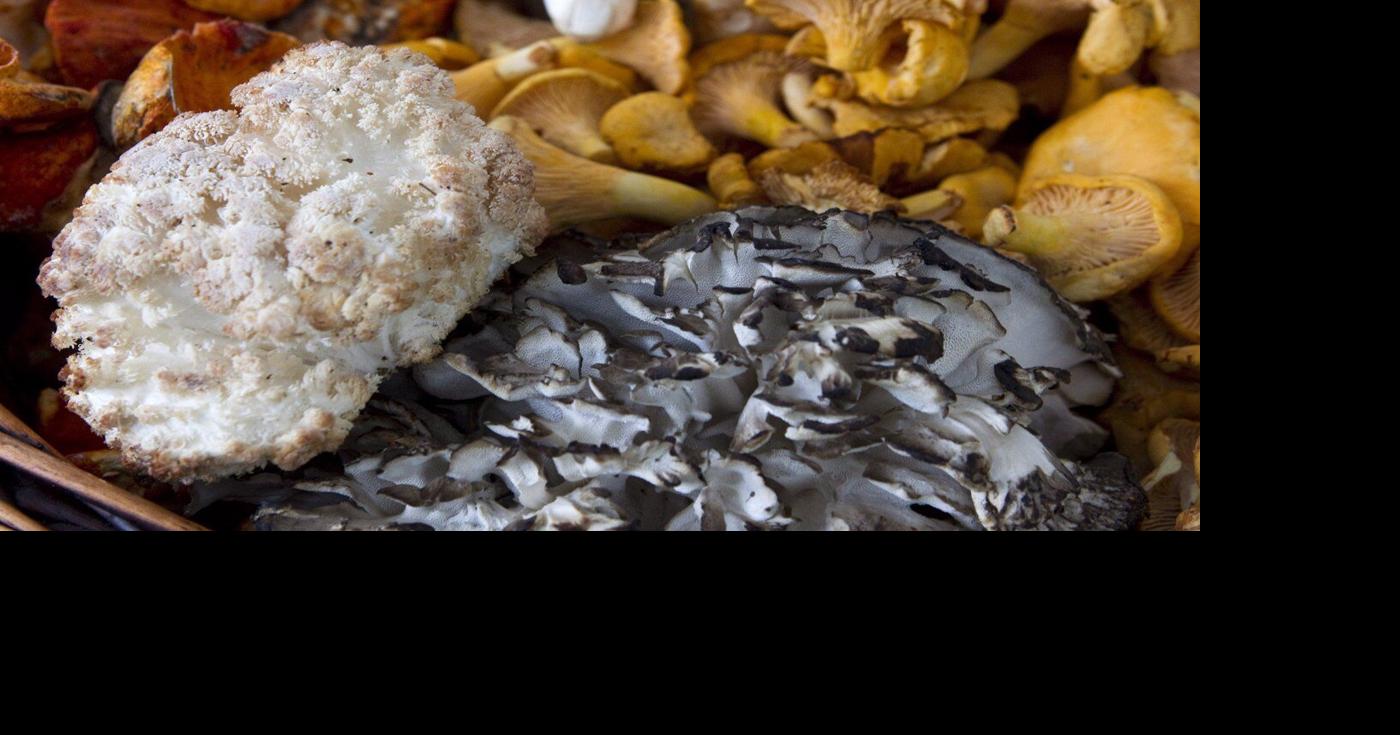 U.S. investigations into Canadian mushroom imports to move ahead – thecanadianpressnews.ca  www.thecanadianpressnews.ca