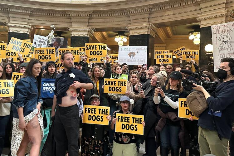 Animal welfare protesters converge on Wisconsin governor's office seeking release of beagles