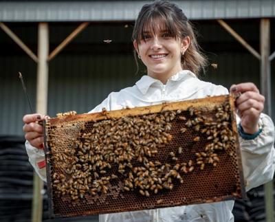 Bees keep Canadian ski jumper Abigail Strate busy in summer