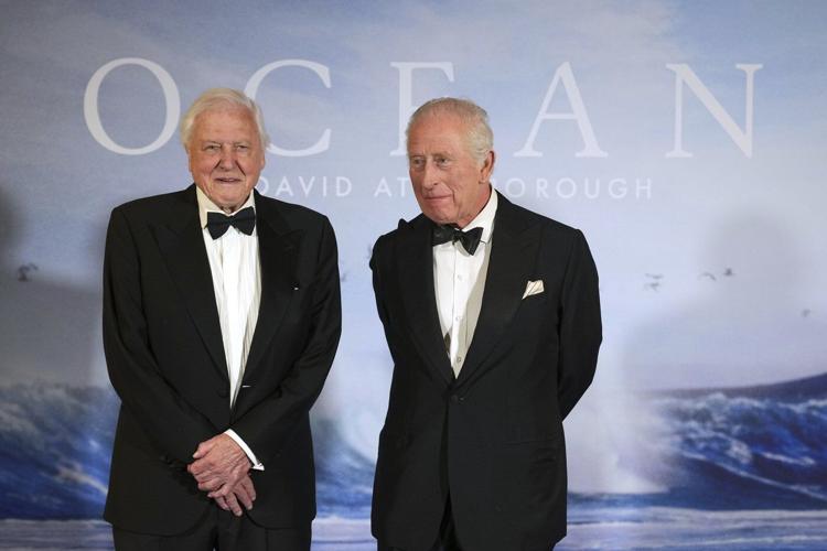 David Attenborough’s 'Ocean' is a brutal, beautiful wakeup call from the sea