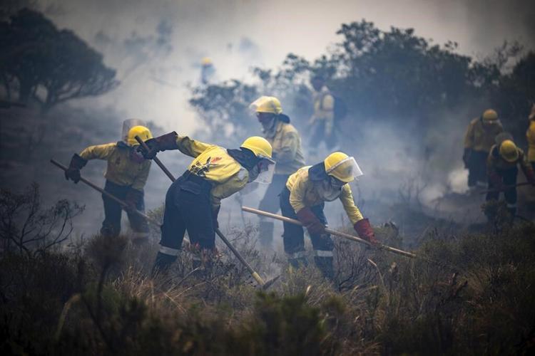South Africa evacuates small coastal communities near Cape Town as wildfires burn out of control