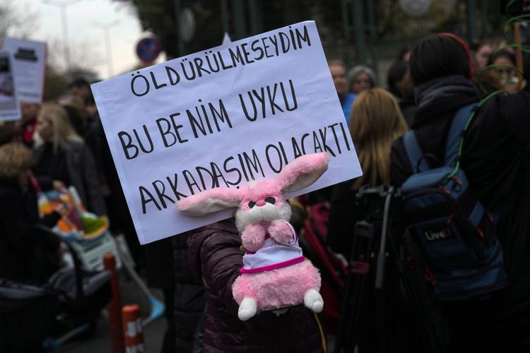 Doctor at the heart of Turkey's newborn baby deaths case says he was a 'trusted' physician
