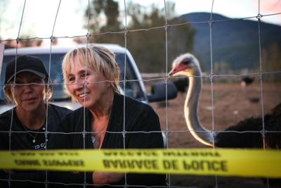Tribunal upholds $10K fine for B.C. ostrich farm over failure to report sick birds