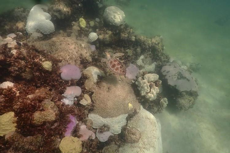 Water at tip of Florida hits hot tub level, may have set world record for warmest seawater