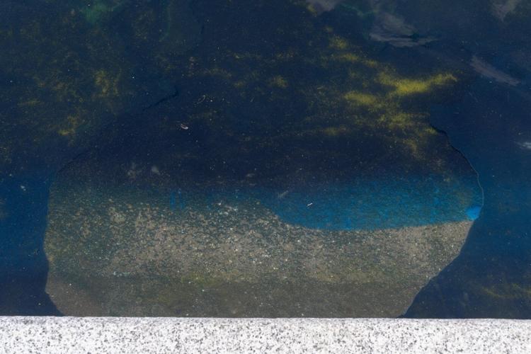 Trump tries to blame Reflecting Pool woes on vandalism, without offering substantiation
