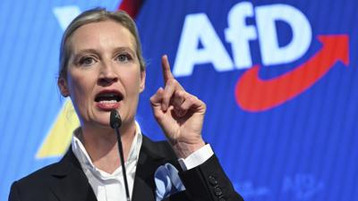 Anti-immigrant Alternative for Germany sues after spy agency labels it an extremist party