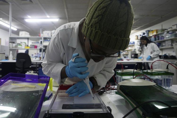 US aid cuts halt HIV vaccine research in South Africa, with global impact