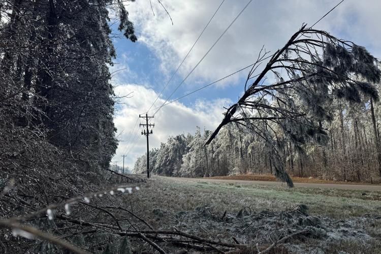 Bitter cold grips the eastern US as winter storm deaths rise and power outages linger