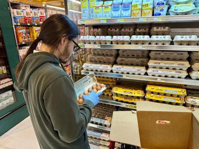 Avian flu is devastating farms in California's 'Egg Basket' as outbreaks roil poultry industry