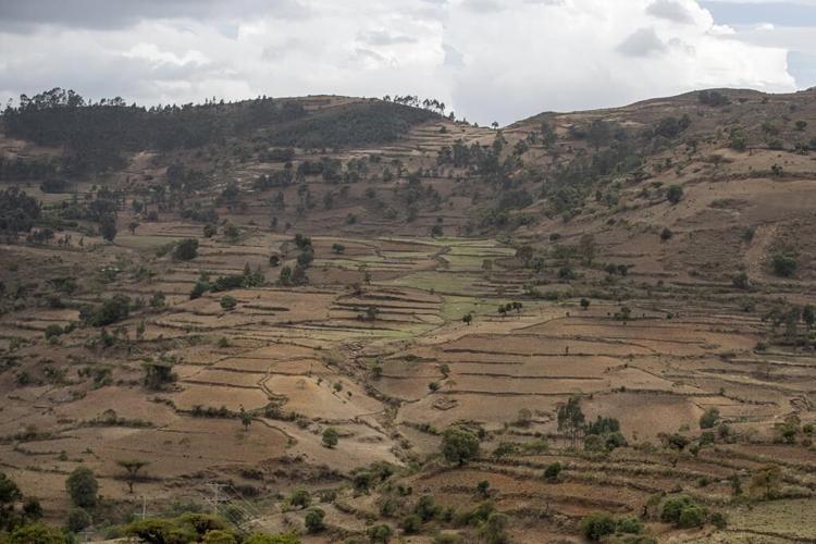 UN, others cite new displacement from Ethiopia's Tigray
