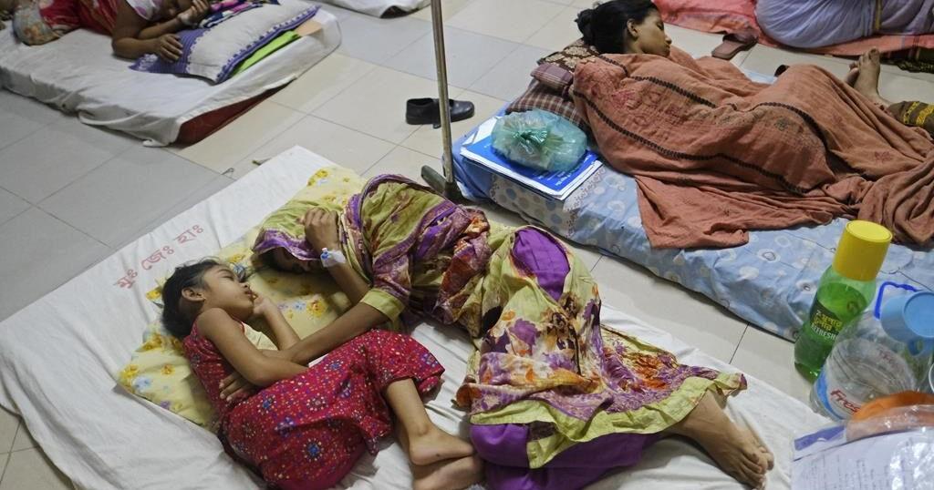 Dengue outbreak in Bangladesh sparks alarm after 364 people die this ...