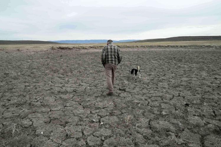 Record US drought sparks worries about fires, water supply and food prices