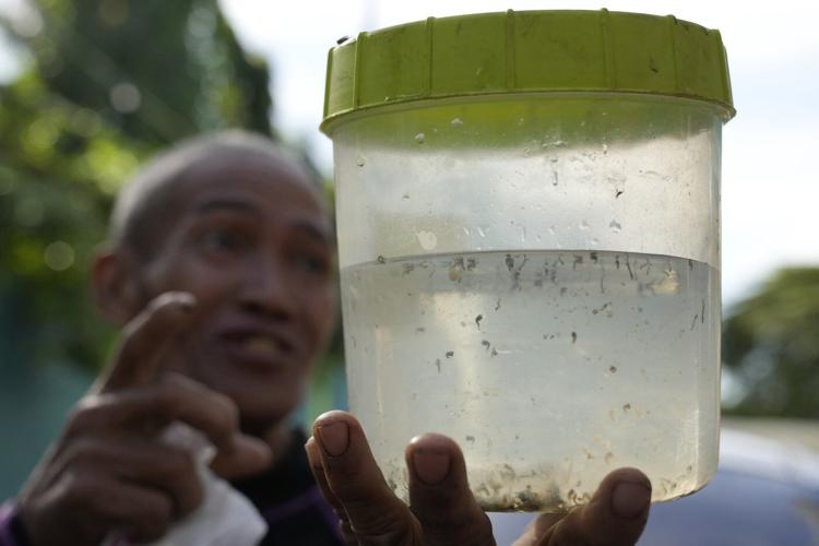 Philippine village battles dengue by offering bounties for mosquitos - dead or alive