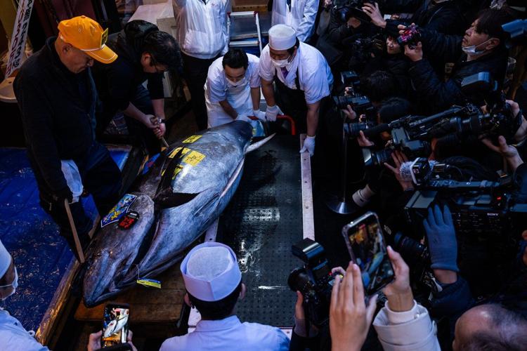The top photos of the day by AP's photojournalists
