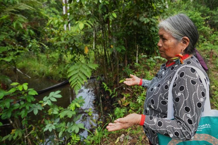 Indigenous women tour Ecuador oil field as warning against Amazon drilling expansion