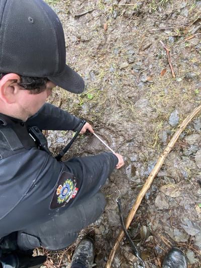 Conservation officers call off search for grizzly that attacked B.C. school group