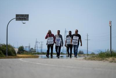 Employers want arbitrator for maintenance issues as talks resume in B.C. port strike