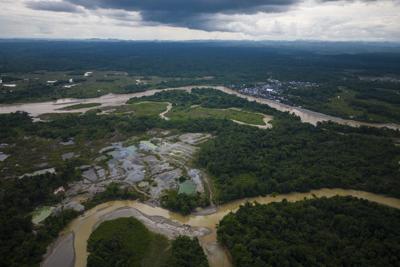 Over 90 arrests made in global crackdown on environmental crime in the Amazon Basin