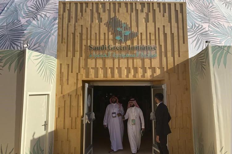 Saudi Arabia has 'green vision' at COP27, critics unmoved