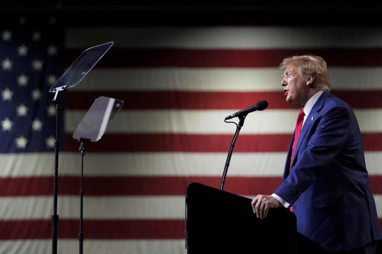 Liz Cheney urges New Hampshire primary voters to take a stand against GOP 'cowardice'