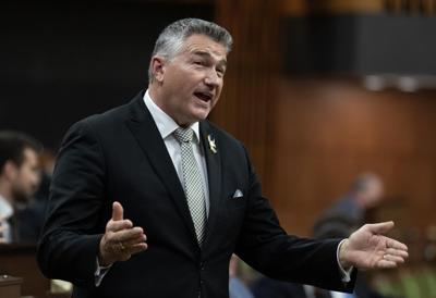 Conservatives would renegotiate free-trade deal with Ukraine, says MP James Bezan