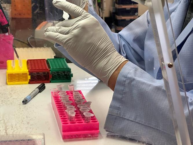 What to know about hantavirus, the illness linked to a cruise ship outbreak